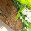 Vízre bízott emlékezés – fehér úszó koszorú